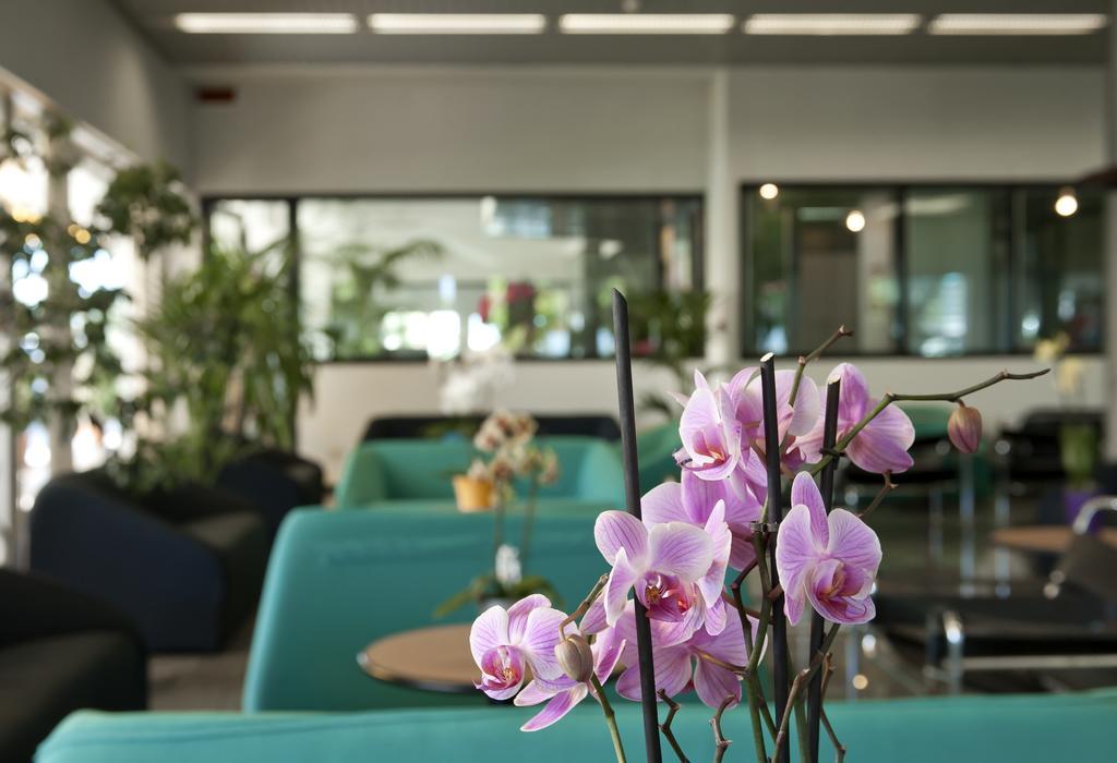 Hotel Cormoran Cattolica Luaran gambar