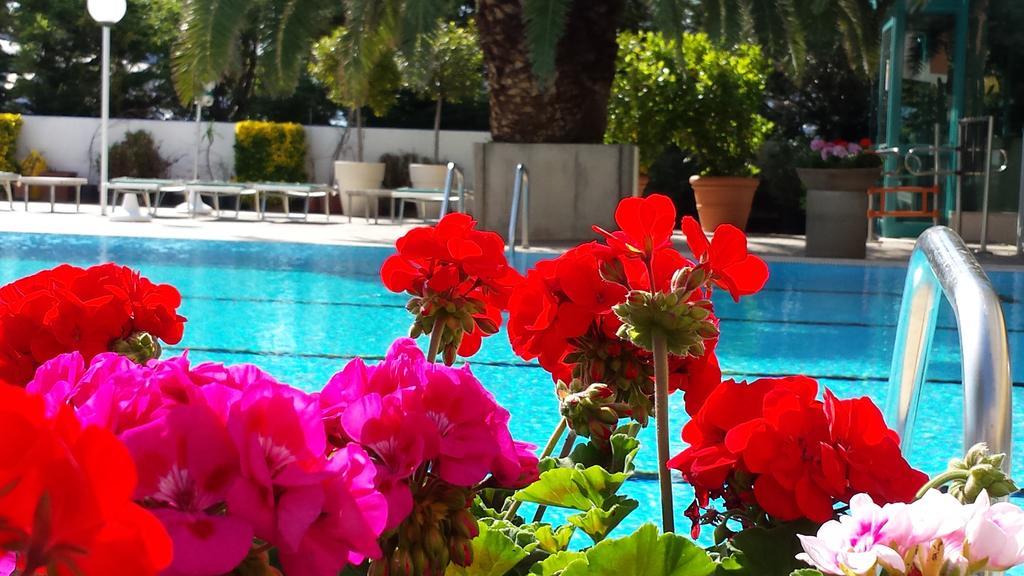 Hotel Cormoran Cattolica Luaran gambar
