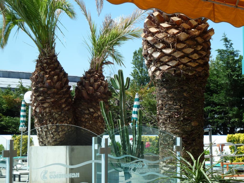 Hotel Cormoran Cattolica Luaran gambar